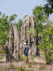 Termite Cathedrals.JPG (93 KB)